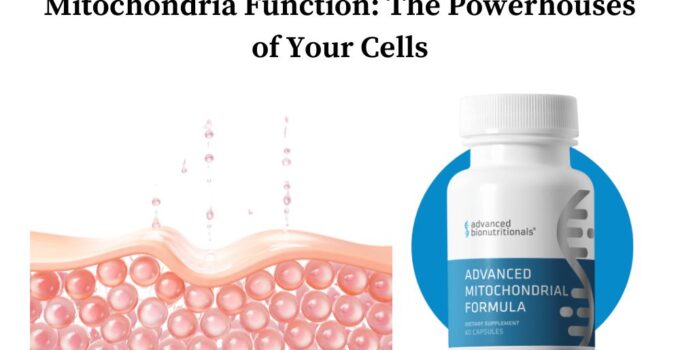 Mitochondria-Function-The-Powerhouses-of-Your-Cells