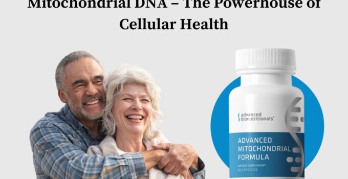 Mitochondrial DNA – The Powerhouse of Cellular Health mitochondrial